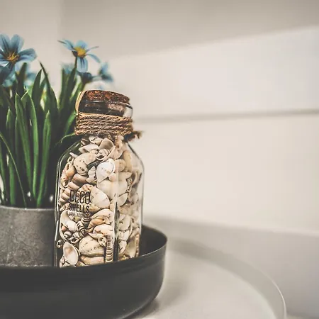 Maisonette Premium Mit Dachterrasse Fuer Business Und Familie Kaiserslautern