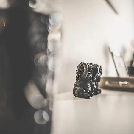 Lägenhet Maisonette Premium Mit Dachterrasse Fuer Business Und Familie *