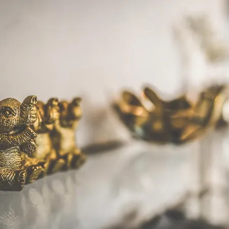 Maisonette Premium Mit Dachterrasse Fuer Business Und Familie Kaiserslautern