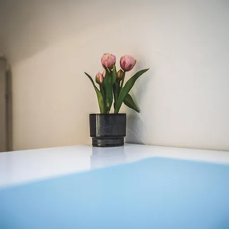 Maisonette Premium Mit Dachterrasse Fuer Business Und Familie Lägenhet