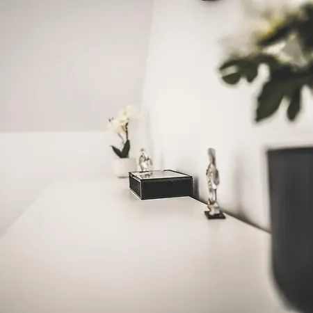 Lägenhet Maisonette Premium Mit Dachterrasse Fuer Business Und Familie Kaiserslautern