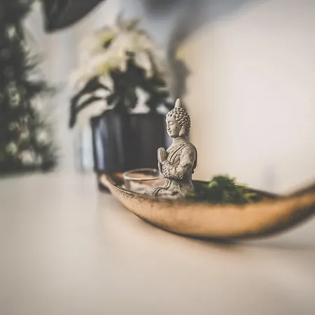 Maisonette Premium Mit Dachterrasse Fuer Business Und Familie