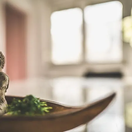 Lägenhet Maisonette Premium Mit Dachterrasse Fuer Business Und Familie