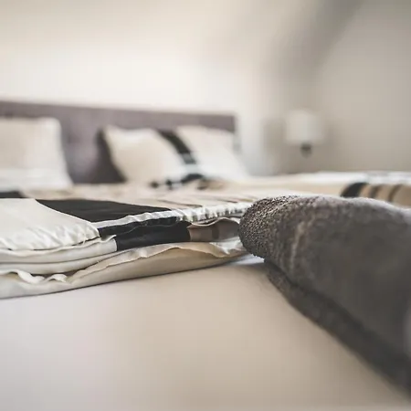 Maisonette Premium Mit Dachterrasse Fuer Business Und Familie Kaiserslautern