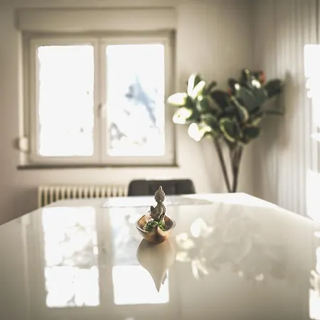 Lägenhet Maisonette Premium Mit Dachterrasse Fuer Business Und Familie Kaiserslautern