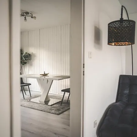 Maisonette Premium Mit Dachterrasse Fuer Business Und Familie * Kaiserslautern