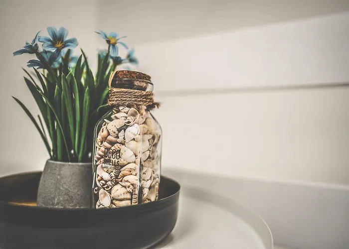 Maisonette Premium Mit Dachterrasse Fuer Business Und Familie Kaiserslautern