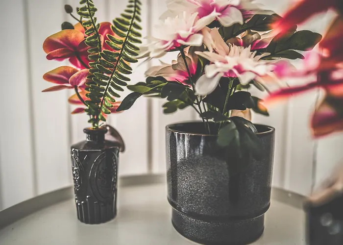 Maisonette Premium Mit Dachterrasse Fuer Business Und Familie * Kaiserslautern