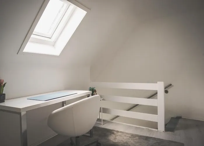 Maisonette Premium Mit Dachterrasse Fuer Business Und Familie Kaiserslautern