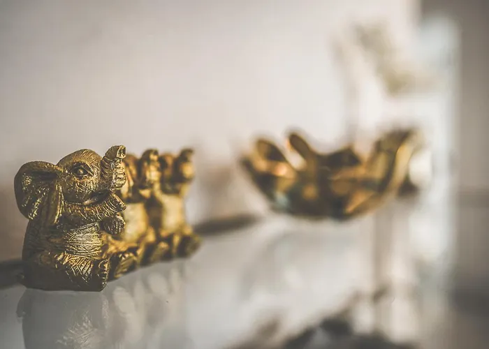 Maisonette Premium Mit Dachterrasse Fuer Business Und Familie Kaiserslautern