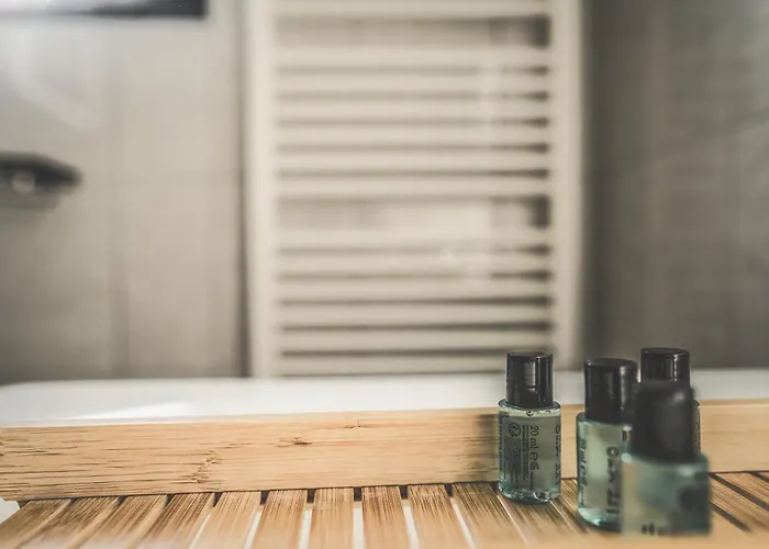 Maisonette Premium Mit Dachterrasse Fuer Business Und Familie * Kaiserslautern