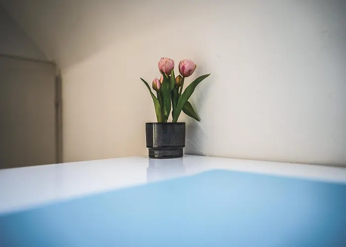 Maisonette Premium Mit Dachterrasse Fuer Business Und Familie Apartamento