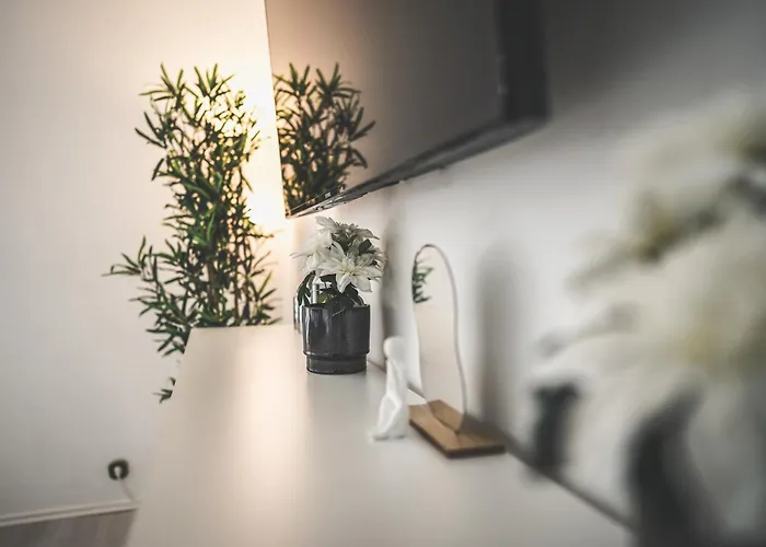 Maisonette Premium Mit Dachterrasse Fuer Business Und Familie * Kaiserslautern