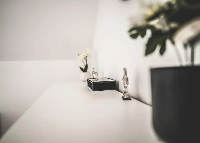 Apartamento Maisonette Premium Mit Dachterrasse Fuer Business Und Familie Kaiserslautern