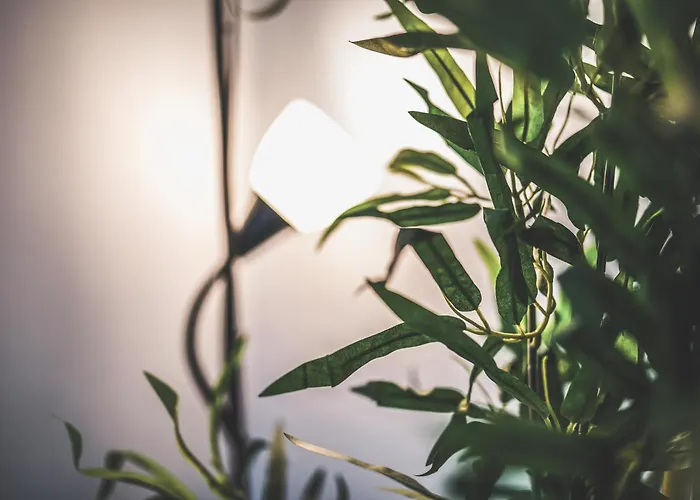 Maisonette Premium Mit Dachterrasse Fuer Business Und Familie Apartamento Kaiserslautern