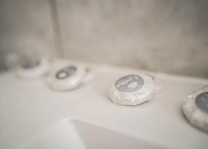 Apartamento Maisonette Premium Mit Dachterrasse Fuer Business Und Familie