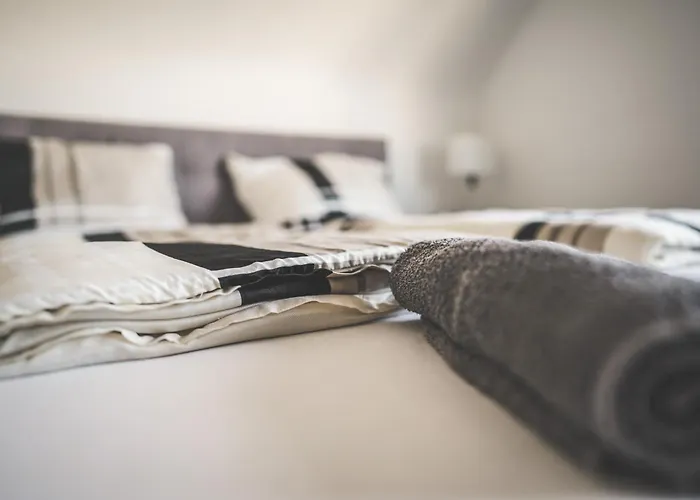 Maisonette Premium Mit Dachterrasse Fuer Business Und Familie Kaiserslautern