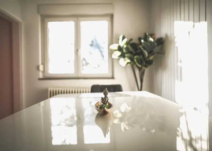 Apartamento Maisonette Premium Mit Dachterrasse Fuer Business Und Familie Kaiserslautern