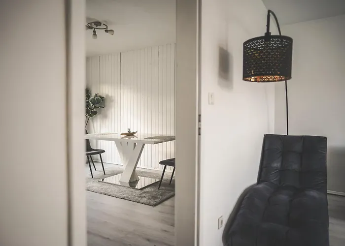 Maisonette Premium Mit Dachterrasse Fuer Business Und Familie * Kaiserslautern